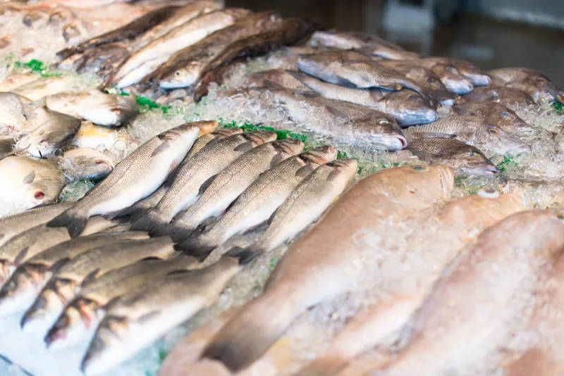 Poisson frais